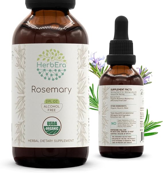 HerbEra Rosemary Liquid Extract, USDA Organic Alcohol-Free Drops for Memory & Immune Support, Rosmarinus Officinalis Dried Leaf Tincture, Vegan (2 fl oz)