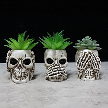 Simcat Succulent Pots with Drainage Mini Creative Skull Decor Resin Flower Pot 3 Cactus Planter Pots Succulent Plant Pots + Removable Drainage Stopper for Home Office Desktop Windowsill Decor