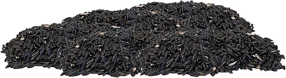Black Oil Sunflower Seed, 25 lbs.