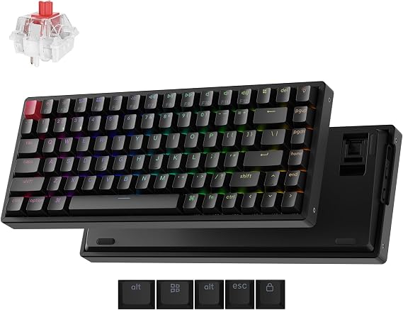Keychron K2 75% Layout QMK Wireless and Wired Mechanical Keyboard Super Red Switch, RGB Backlight Aluminum Frame with Shine-Through Double-Shot PBT Keycaps for Mac Windows-Version 3