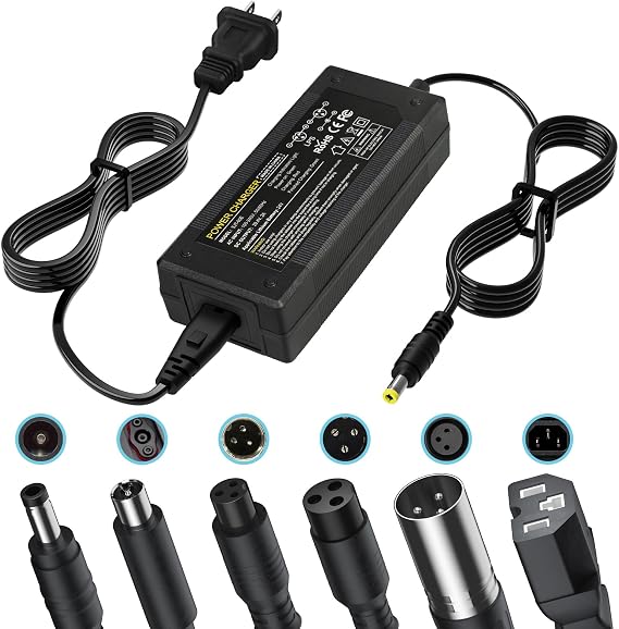 PUKOKAL 29.4V 2A Hoverboard Charger Universal 24V Lithium Battery Charger with 7 Plugs for Electric Scooter GoTrax G1 Edge Nova GKS Hoverfly SRX (NOT for 36V/42V)