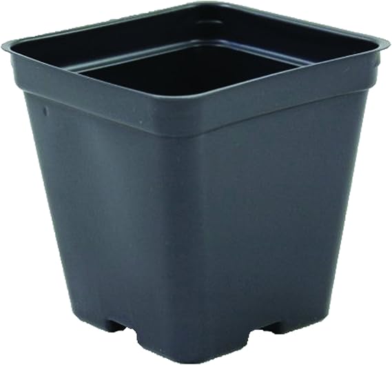 Growers Solution Square Greenhouse Pots 3.5 inch x 3.5 inch- Black - Plastic - Deep - Case of 450