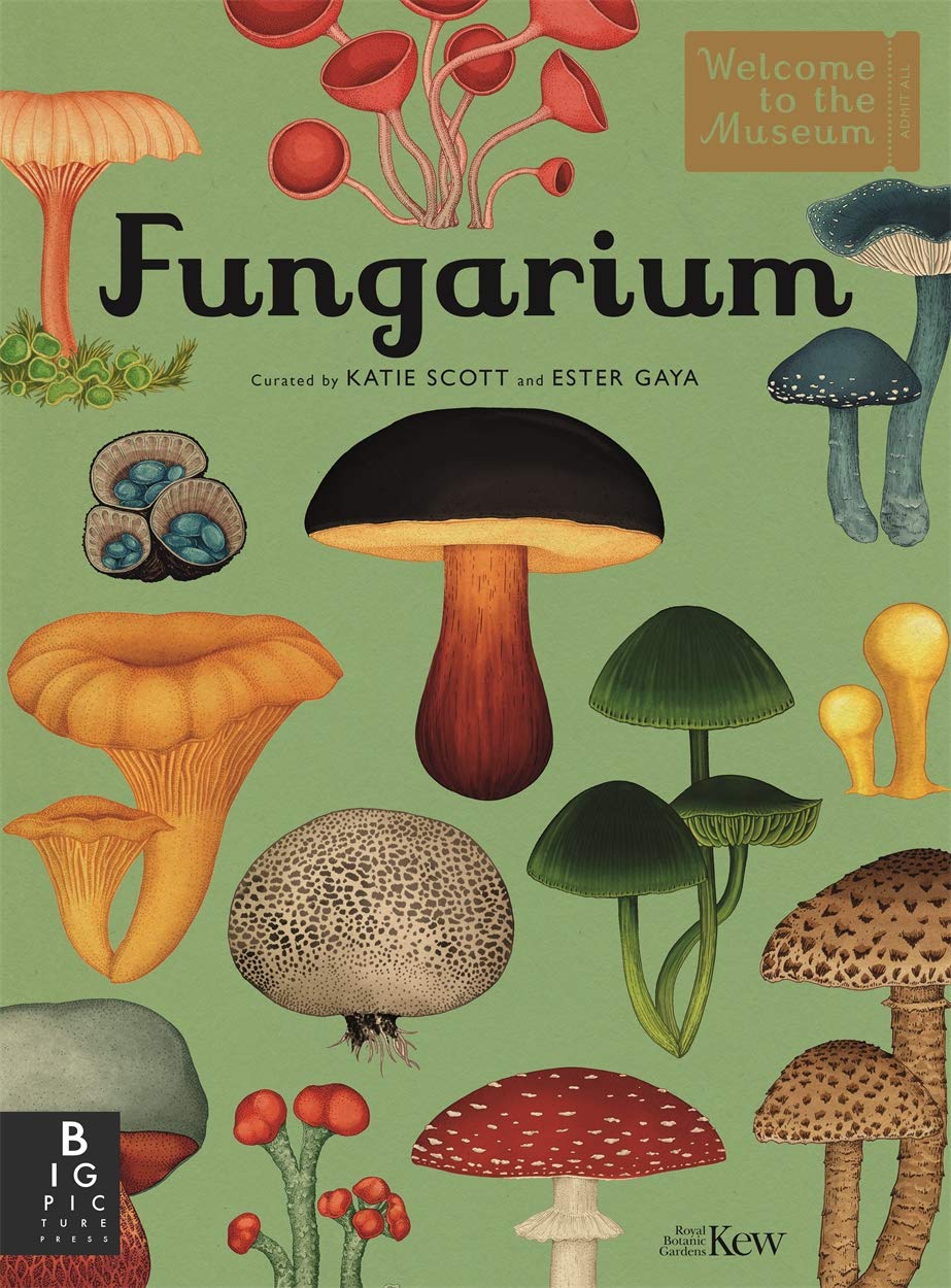 Fungarium Ciltli Kapak – 9 Temmuz 2020