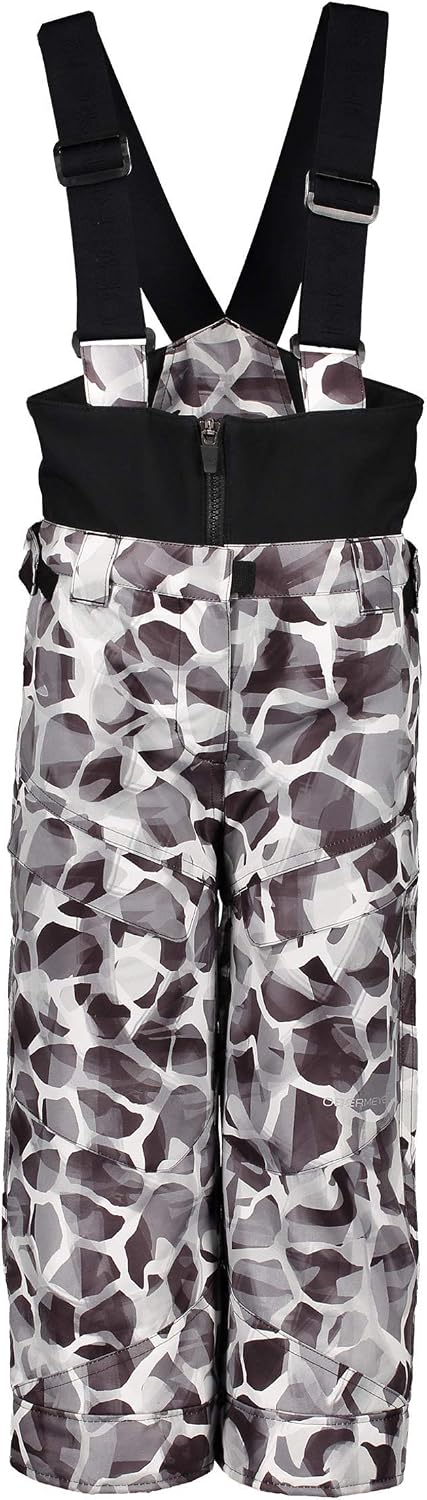 Obermeyer boys Warp Pant