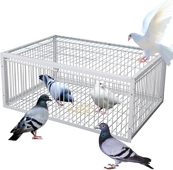 Pigeon Trap With One-Way Entrance Easy To Assemble Bird Trap Cage With Escape-Proof Design Portable 4 Imported Automatic Pigeon Collection Suitable For Farms, Woods, Balconies And Roofs(15.75x1