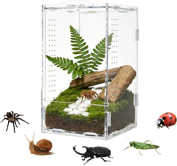 Jumping Spider Small Terrarium 4.74.77.9 Inch Acrylic Enclosure | Front Opening Door Escape Proof Breeding Box, Micro Insect Habitat Enclosure For Small Reptiles