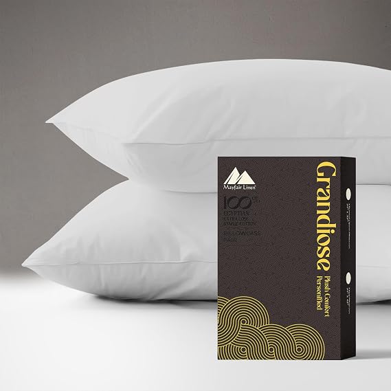 Mayfair Linen 100% Egyptian Cotton Pillow Cases King - 1000 Thread Count Pillowcases King Size Set of 2, Soft Cooling & Breathable Extra Long Staple Sateen Weave Cotton Pillow Covers for Bed - Silver