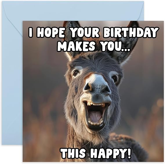 Funny Donkey Birthday Card - 'Cute Donkey Happy' - Gifts for Friends, Him, Her, Besties, Buddies, Mate, Family, Colleagues, Coworkers -  with Fun Stickers