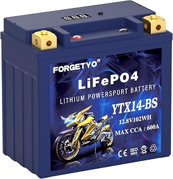 UL Certified YTX14-BS Lithium Motorcycle Battery, ATV Battery 12V 8AH 600CCA Compatible with Yamaha Scooter Snowmobile Jet Ski, Scooter, PWC & More