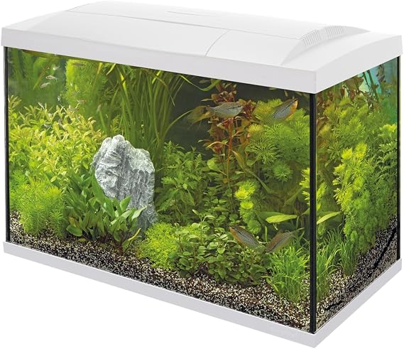 SuperFish Start 70 Aquarium - White