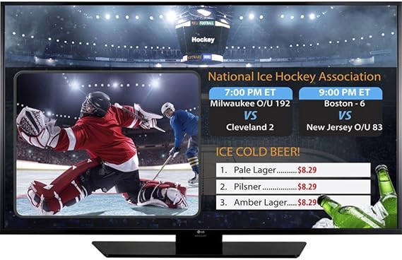 LG Electronics 65" LED TV (65LX540S)