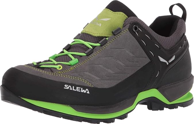 Salewa Mountain Trainer Men's Shoes
