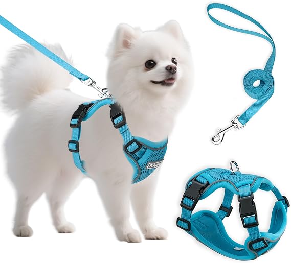 Small Dog Harness and Leash Set, Adjustable Small Sized Pet Vest