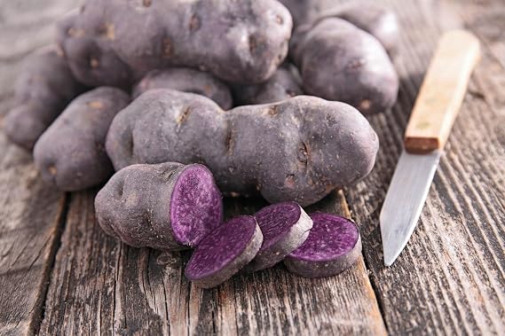 Purple Potato Seed, Certified Whole Potatoes, Non-GMO, American Raised, Farm Fresh 2LBS