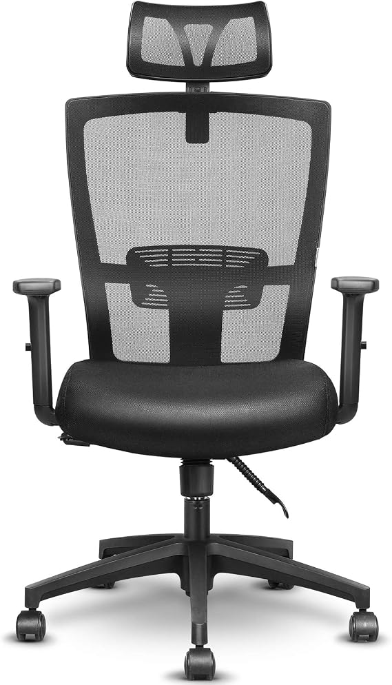 Ergonomic Home Office Chair with Flip-up Armrest and Adjustable Back Support, Desk Chair for Home Office with Height Adjustable and Breathable Mesh
