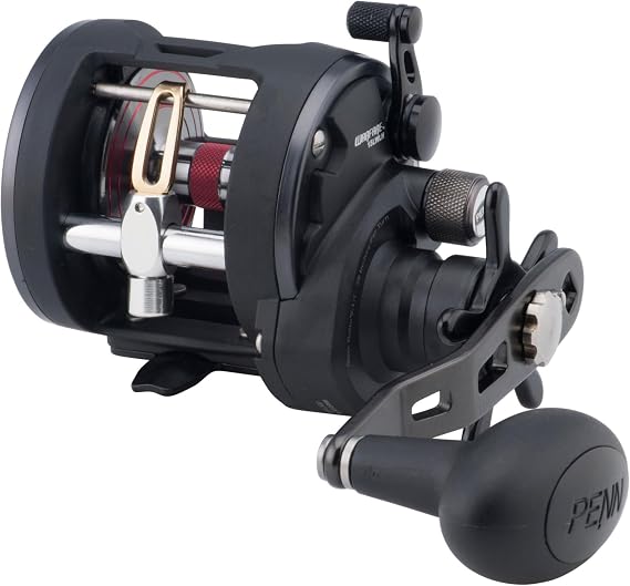 PENN Warfare Level Wind Multiplier Fishing Reel for Saltwater Boat or Kayak Fishing