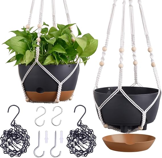montresor 8 Inch Plant Hanging Basket for Indoor/Outdoor, Self Watering