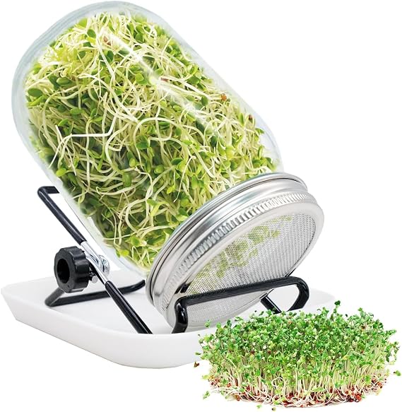 Sprouting Jar, Sprouts Growing kit, Mason Jar for Bean Sprouts Grow, Seed Sprouter Set for Growing Alfalfa, Mung Bea