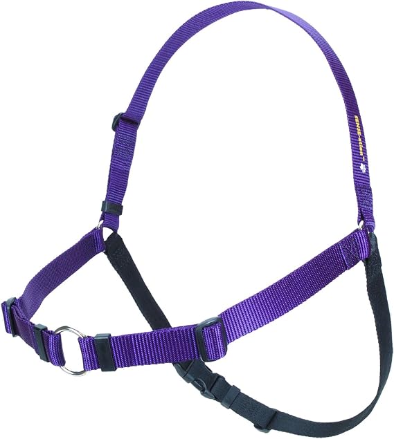Softouch Sense-ation No-Pull Dog Harness (Purple, Extra Large)