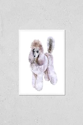 Watercolor closeup portrait of beautiful King Poodle breed dog isolated on white background. Dog with hair cut posing on dog show. Hand drawn sweet home pet. Greeting card design clip art illustration