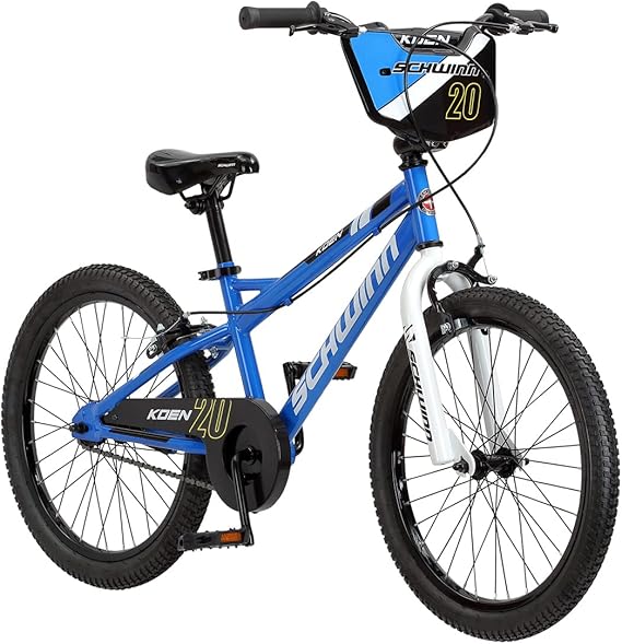 Schwinn Koen & Elm Big Kid Bike