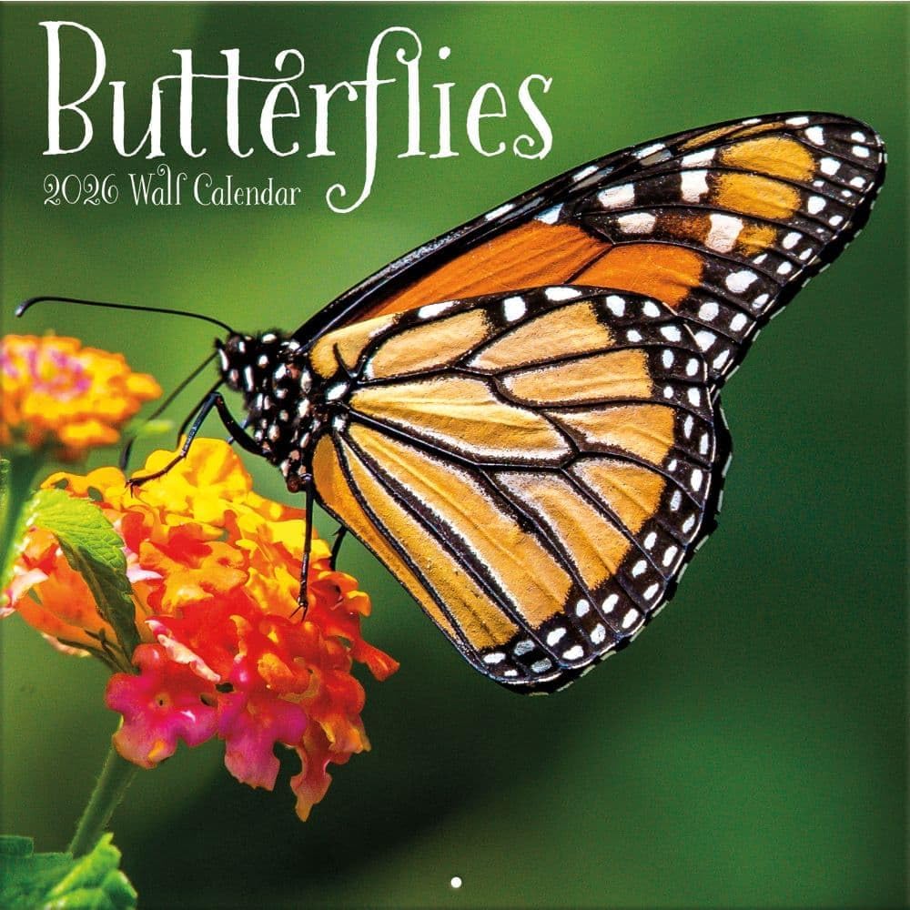 TURNER PHOTOGRAPHIC Butterflies 12x12 Photo Wall Calendar 26998940010
