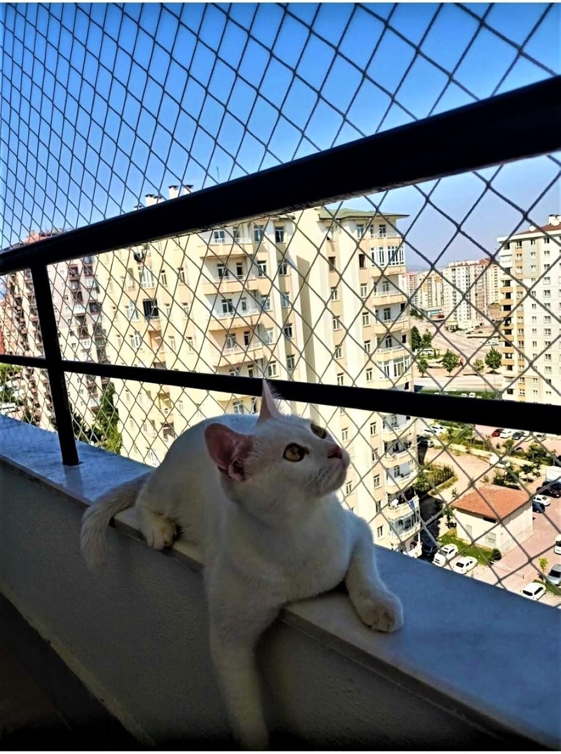 2 X 1 Meter Cat Protection Net Balcony Net 2 Mm Cat Safety Net Baby Safety Net
