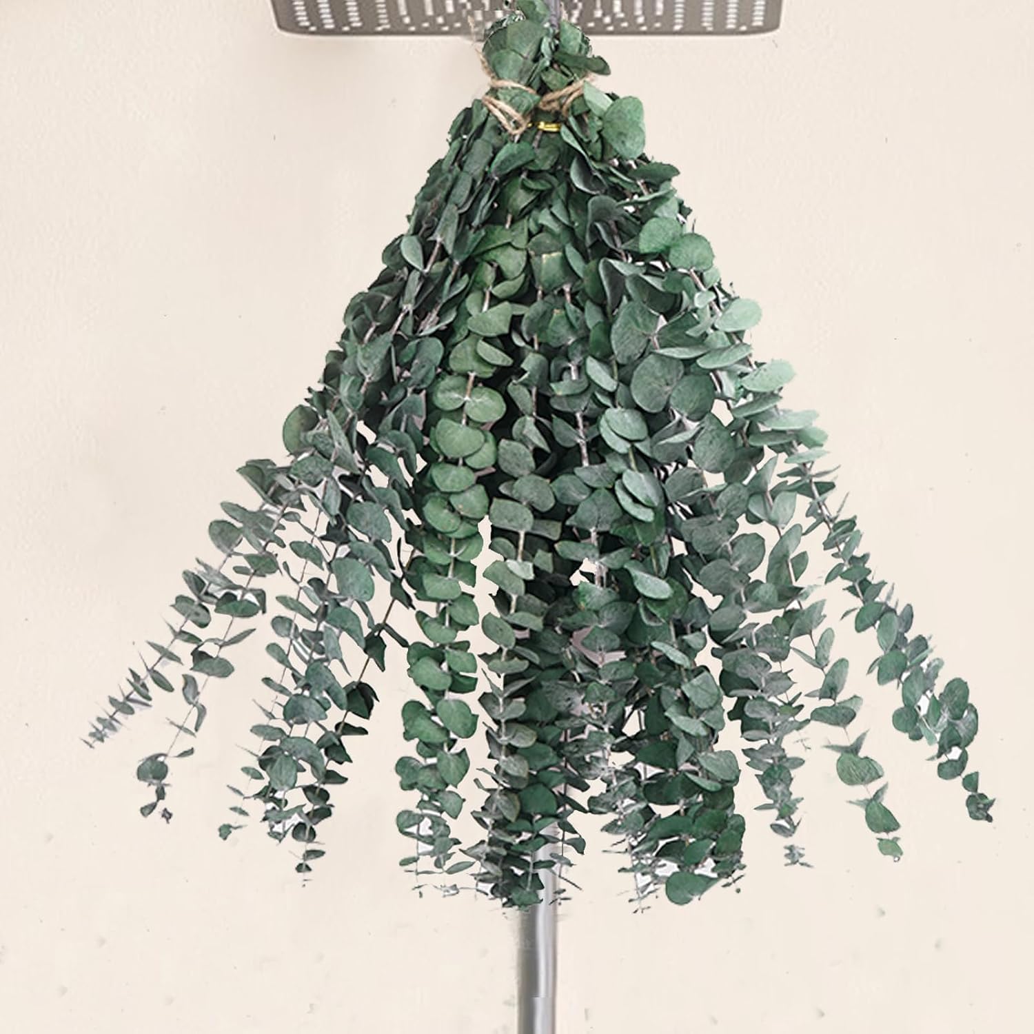 12Pcs Dried Eucalyptus Stems for Shower 17" Natural Preserved Dried Eucalyptus Shower Plant, Fresh Eucalyptus Branches Leaves Greenery Hanging, Flowers Arrangement, Wedding, Vase Filler, Home Decor