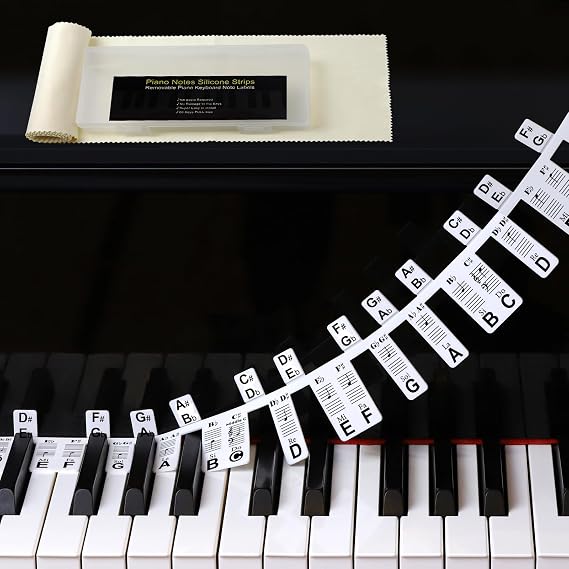 Removable Piano Notes Guide Labels with Dust Cover and Box(Black)