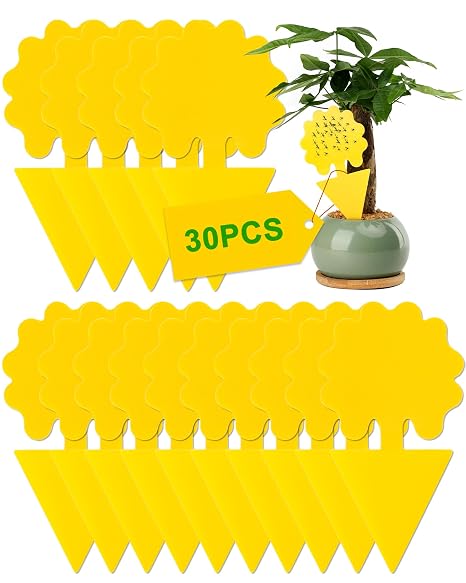 30 Pack Fruit Fly Traps, Yellow Double-Sided Sticky Fruit Fly Fraps | Non Toxic Waterproof Fungus Gnat Sticky Traps For Fruit Flies And Fungus Gnats, Ideal For Home, Kitchen And Indoor Plants