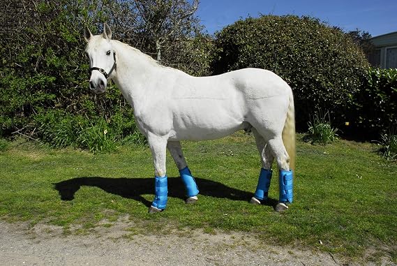 Rhinegold Half Length Horse Travel Boots, Set of 4, Black, Brown, Turq Full, Turquoise