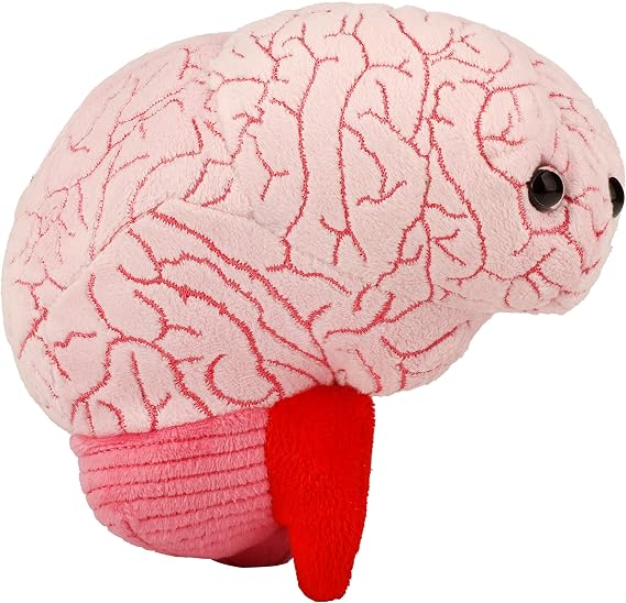 GIANT MICROBES Brain Plush, Anatomical Brain with Embroidered Details