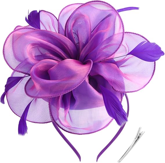 DRESHOW Fascinators Hat Tea Party Headwear Ribbons Feathers on a Headband and a Clip for Women