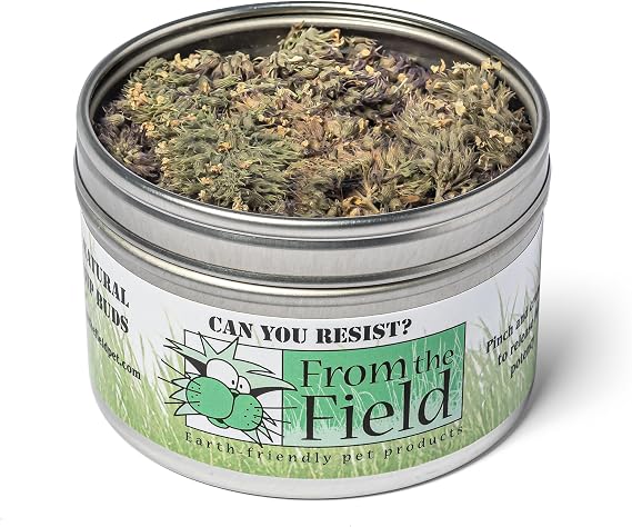 from The Field | Premium Whole Catnip Buds for Cats | Organic, USA-Grown, Fresh & Potent | Natural, Eco-Friendly Cat Treat for Play & Relaxation | Catnip for Indoor Cats | Resealable 0.4 Oz Can