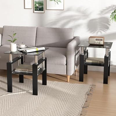IANIYA 2PCS Modern Glass End Table, 2-Tier Side Table with Tempered Glass Top & Metal Legs, Night Stand Corner Table for Living Room, Bedroom,All Black