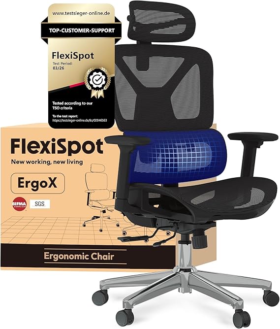 FLEXISPOT ErgoX Ergonomic Office Chair, Executive Mesh Desk Chair with Height Adjustable Seat, Headrest, Armrests & Independent Lumbar Support, Swivel Task Chair, Black