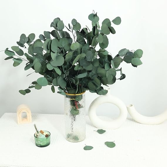 30 Pcs Real Dried Eucalyptus Stems, 17" Preserved Eucalyptus Silver Leaves