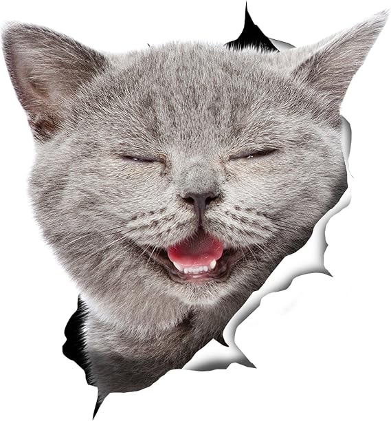 Winston & Bear 3D Cat Stickers - 2 Pack - Laughing Grey Cat Decals for Wall - Fridge - Toilet - Car - Retail Packaged