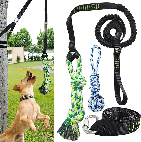 Dog Outdoor Bungee Solo Toy Hanging from Tree, Outdoor Tether Tug of War Toy for Pitbull Small to Large Dogs, Tree Tugger Pull Rope Interactive Tug Toy with 2 Chew Rope Toys