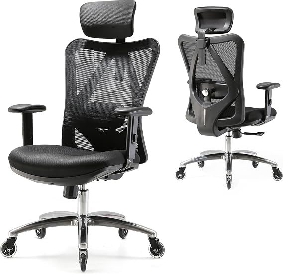 SIHOO High Back Ergonomic Office Chair, Adjustable Headrest & Lumbar Support, Swivel Desk Chair (Black)