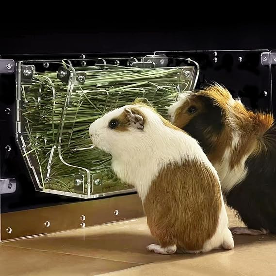 GuineaLoftTM 2-in-1 Hay & Food Feeder for Guinea Pigs, Rabbits & Small Pets
