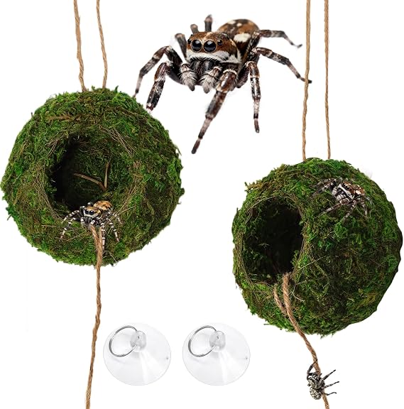 Jumping Spider Moss Cave Hide, Round Green Small Spider Moss Hideout, Jumping Spiders Cave Accessory for Reptile Terrarium