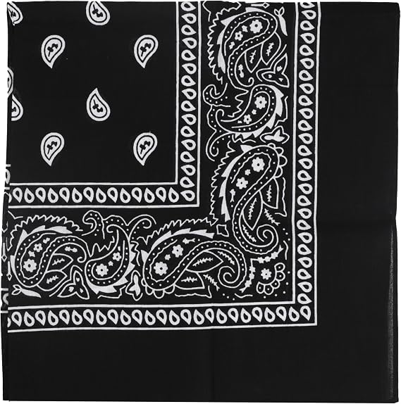 22 Inch Cotton Paisley Bandana | Multi-Purpose Headband, Unisex Handkerchief & Cowboy Scarf for Women & Men