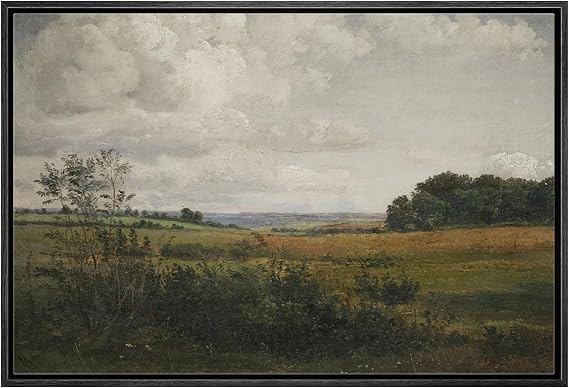 wall26 Framed Canvas Print Wall Art Rustic Rural Storm Cloud Country Landscape Nature Wilderness Illustrations Fine Art Farmhouse Floral Botanical Calm/Relax Cozy for Bedroom - 16"x24" Black