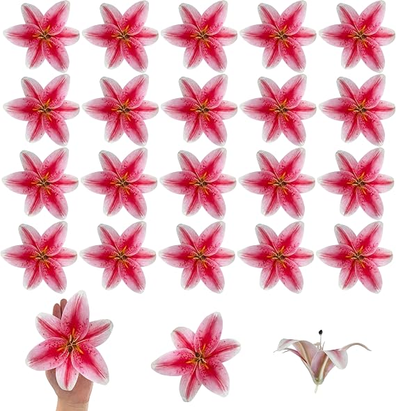 20PCS 6" Large Fake Lily Flower Heads, Realistic Stamens Artificial Flowers for Crafts Cake Wedding Decor (Dark Pink)