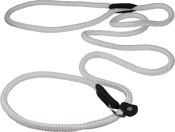 Dogs My Love Nylon Rope Slip Dog Lead Collar and Leash British Style 4ft Long (Small: 1/4" (6mm), White)
