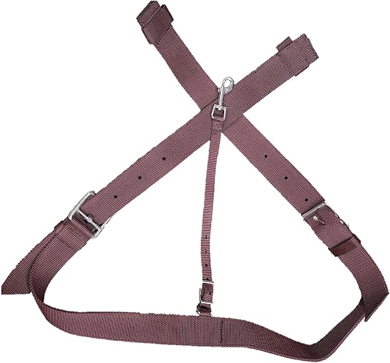 Rear Replacement Brown Nylon Cinch With Flank Straps Combo