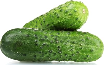 Spacemaster Cucumber Seeds - Heirloom Non-GMO USA Grown - Compact Bush Variety Produces 8 Cucumbers on Compact Vines Perfect for Small Spaces and Container Gardening - by RDR Seeds