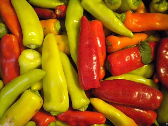 Sweet Banana Pepper (50 SEEDS) Excellen tFor Pickling, Frying & Roasting