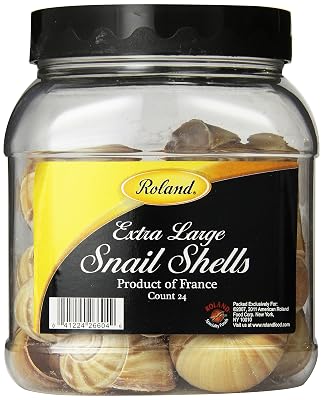 Roland Extra Large Snail Shells from France, 24 Count